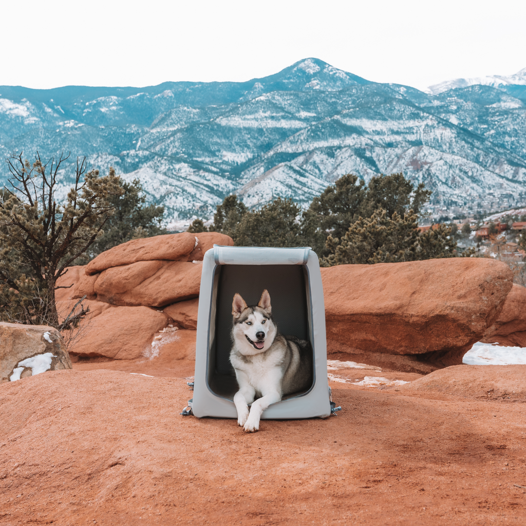 Enventur Inflatable Travel Kennel