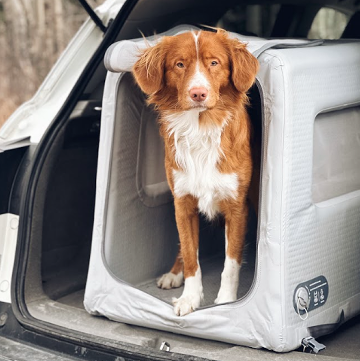 Enventur Inflatable Travel Kennel