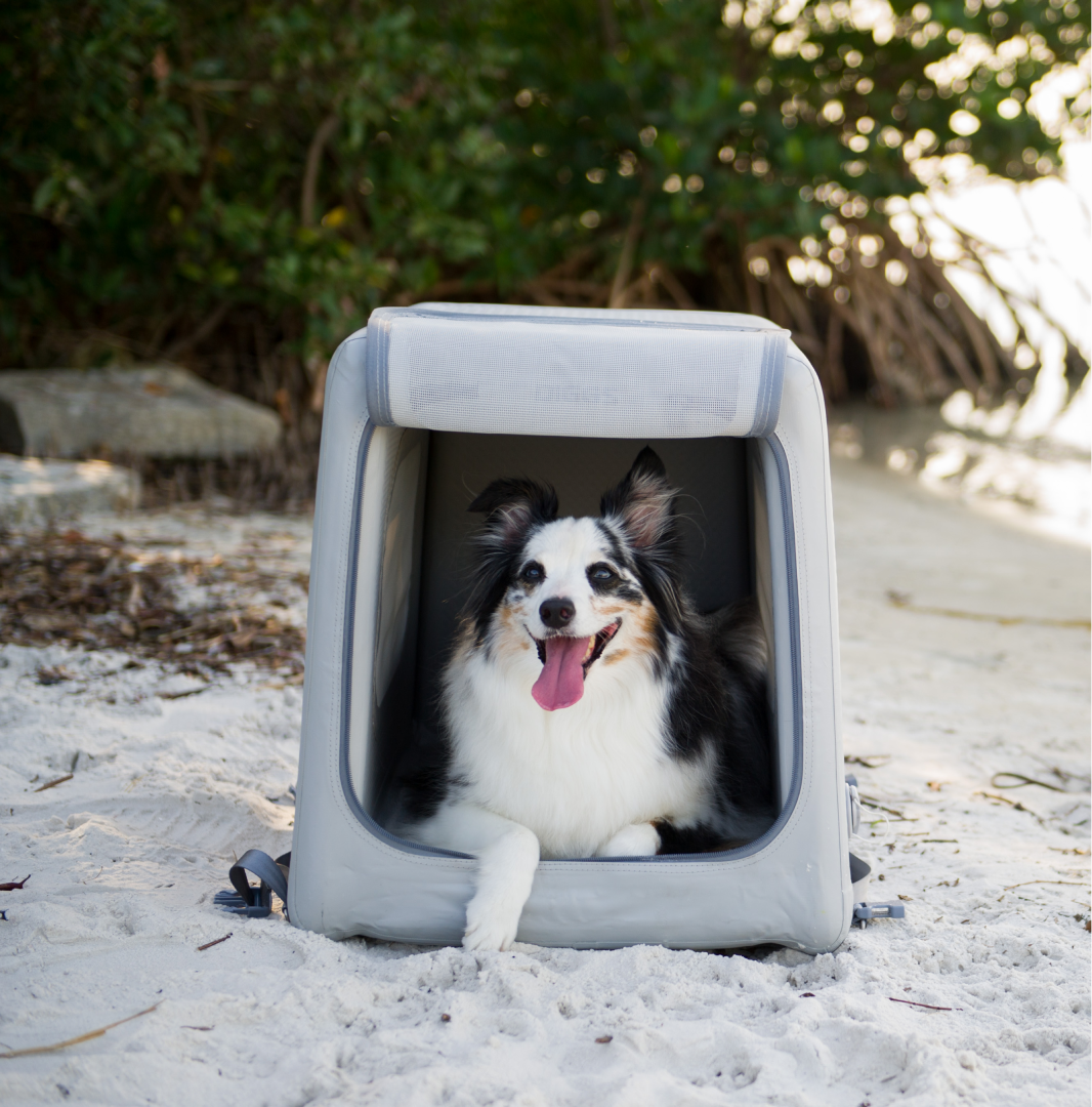 Enventur Inflatable Travel Kennel